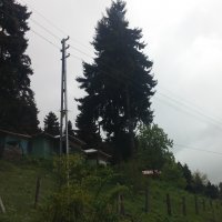 Meşeli ENH + AG